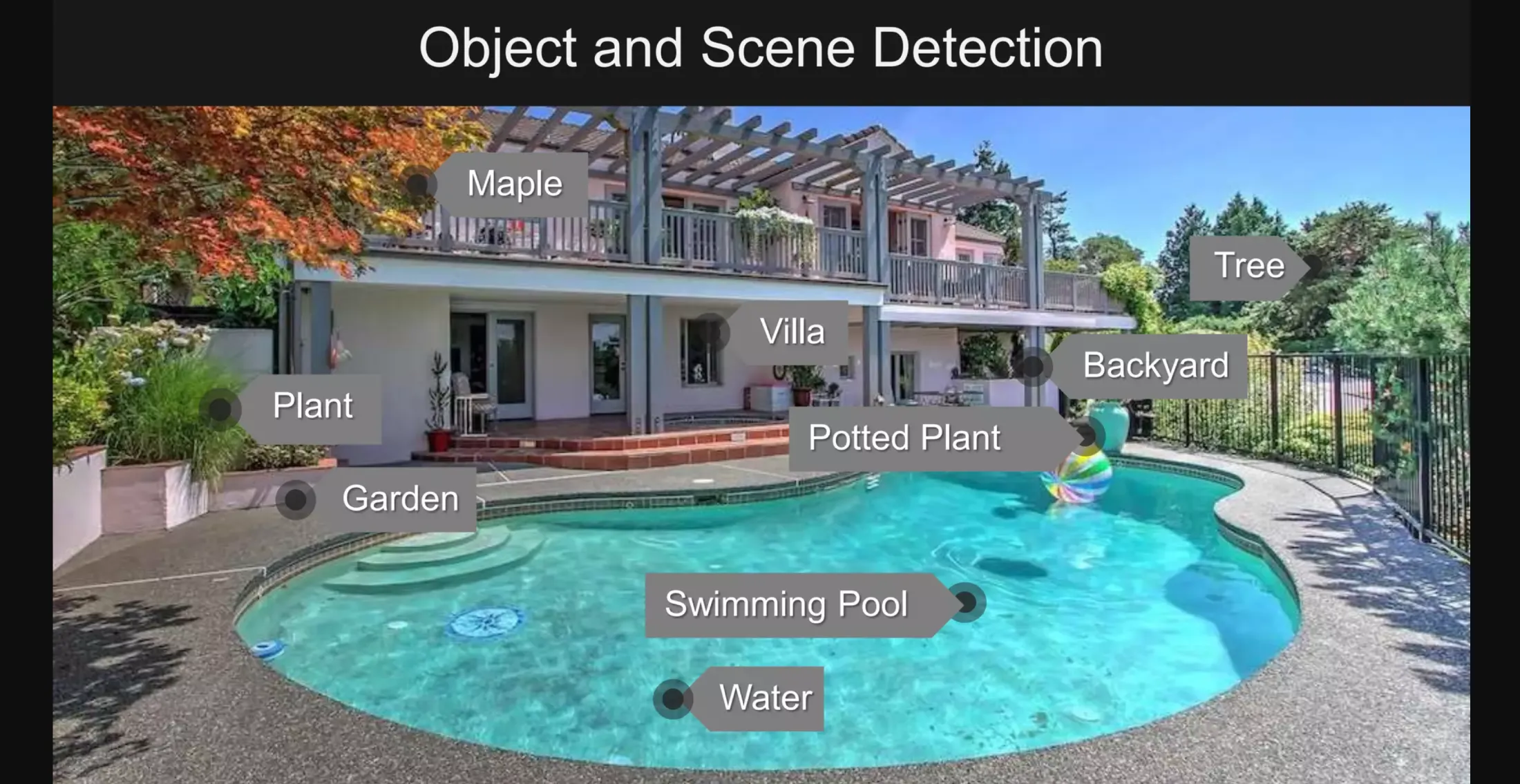Detect Objects and Scene API