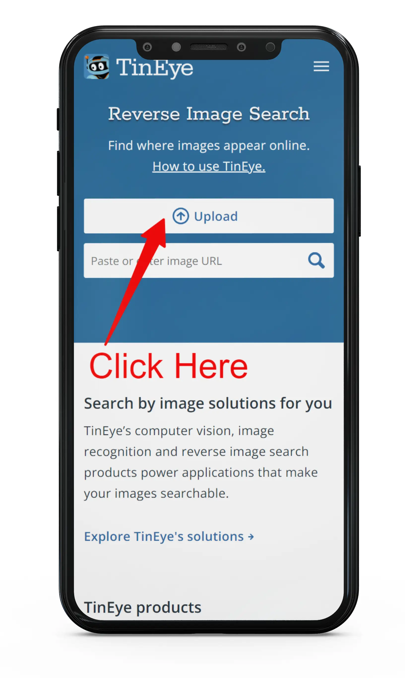 Tin Eye Reverse Image Search on Mobile