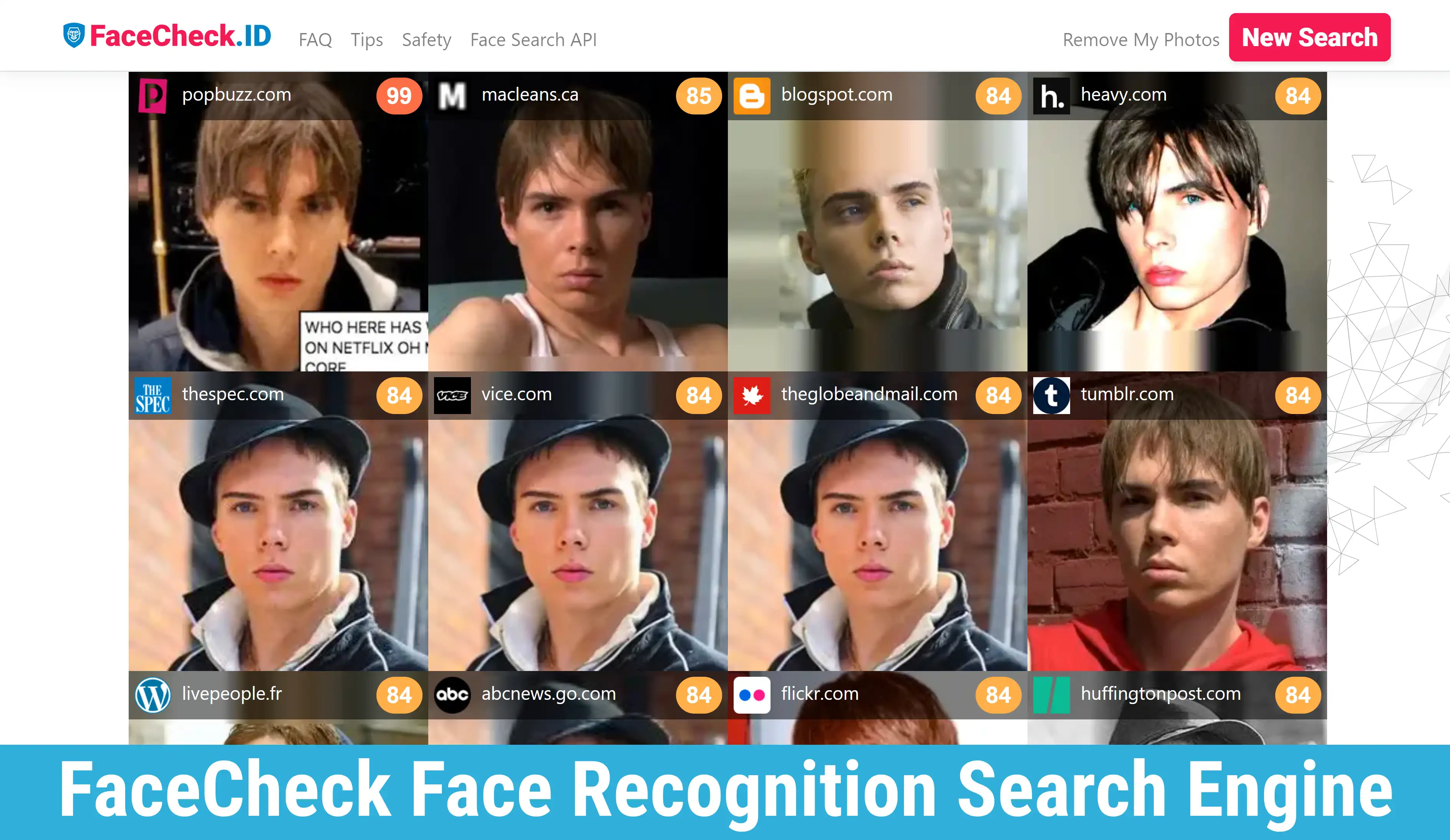 FaceCheck ID, Reverse Image