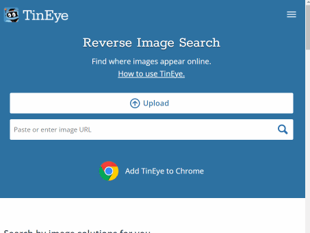 TinEye face lookup tool