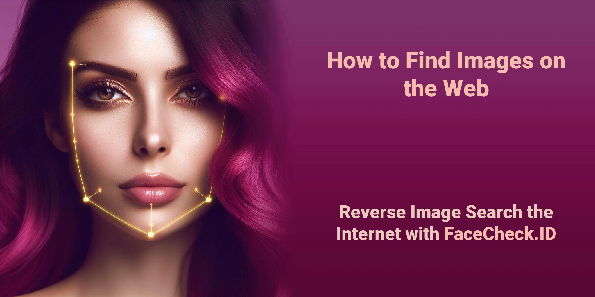 How to Find Images on the Web Reverse Image Search the Internet with FaceCheck.ID