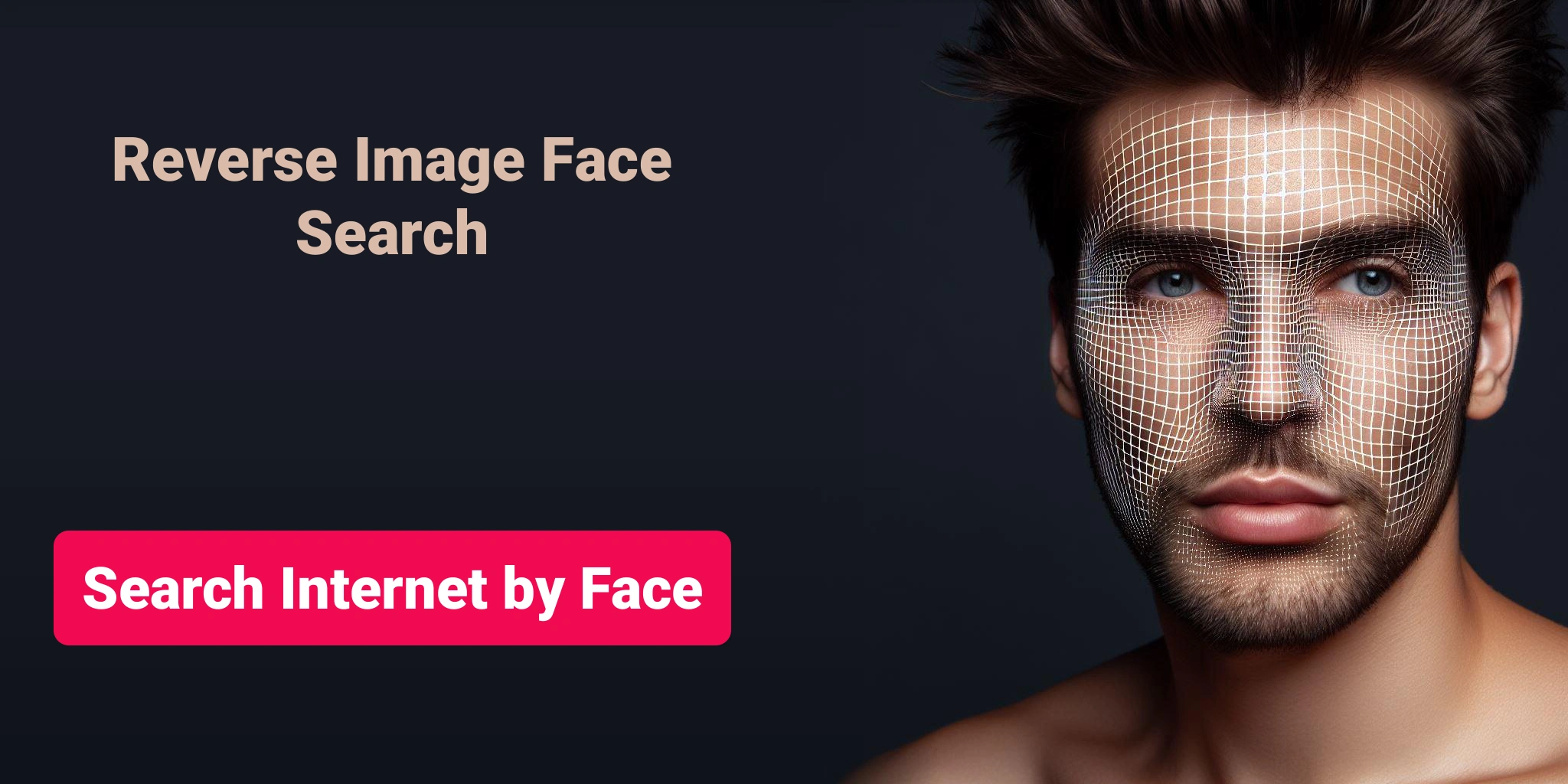 Search Internet by Face, Reverse Image Face Search