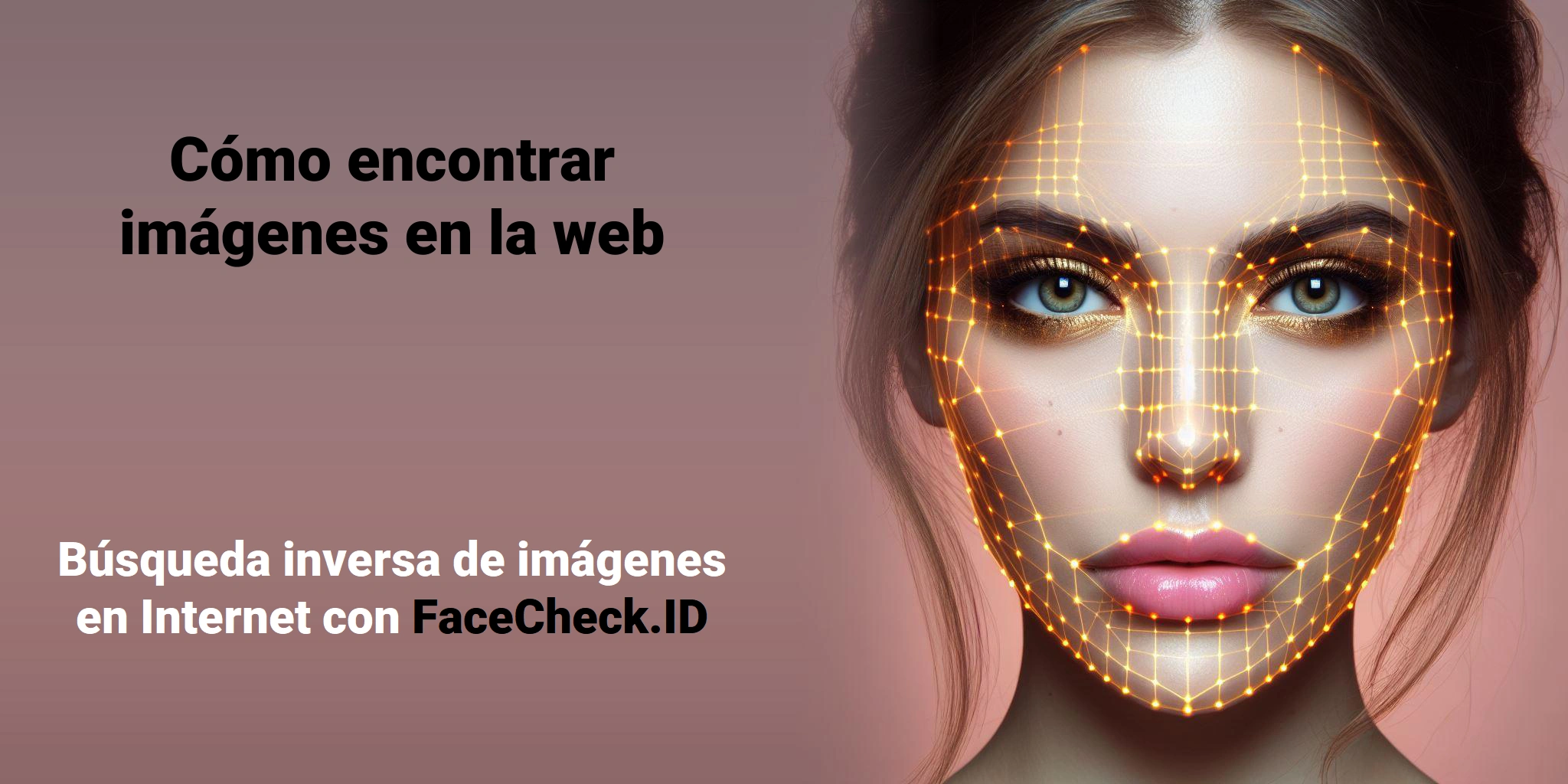 Cómo encontrar imágenes en la web Búsqueda inversa de imágenes en Internet con FaceCheck.ID