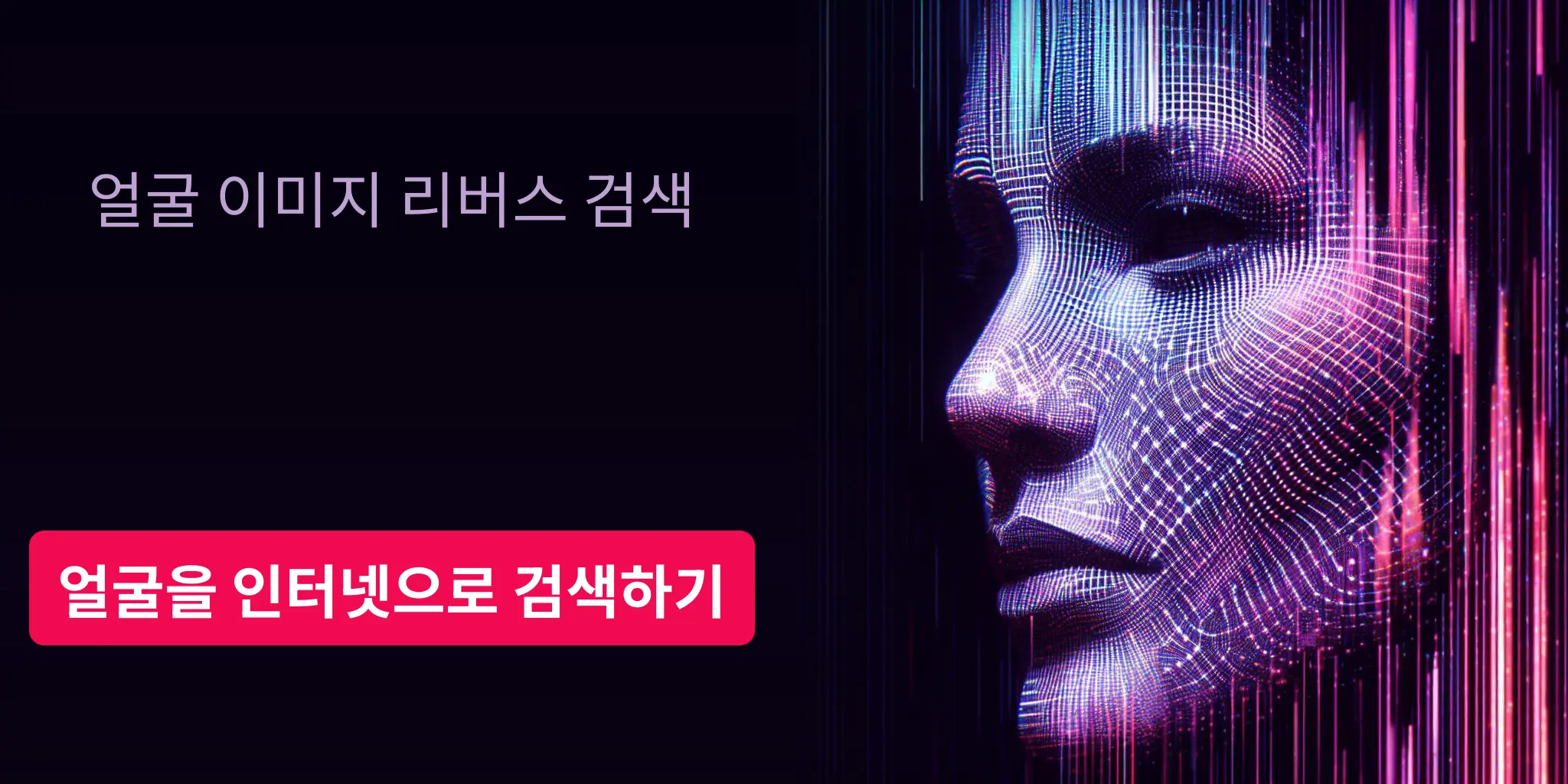 얼굴을 인터넷으로 검색하기, 얼굴 이미지 리버스 검색