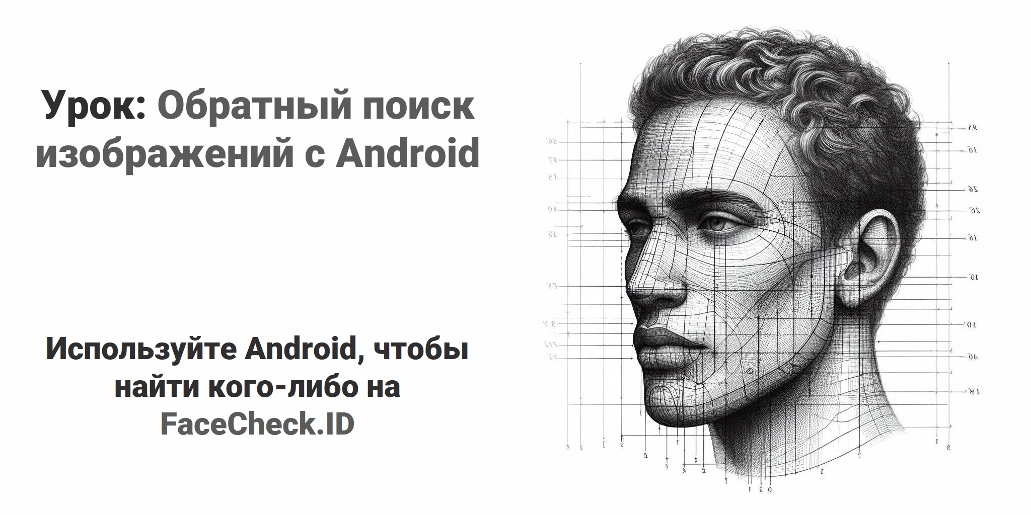 Урок: Обратный поиск изображений с Android Используйте Android, чтобы найти кого-либо на FaceCheck.ID
