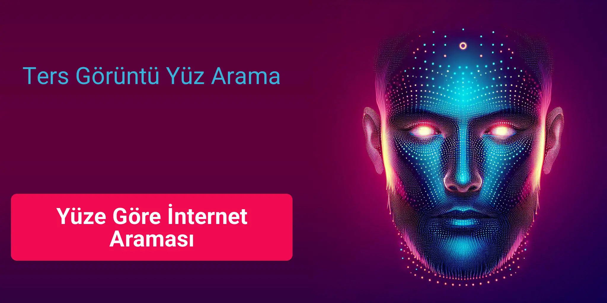 Yüze Göre İnternet Araması, Ters Görüntü Yüz Arama
