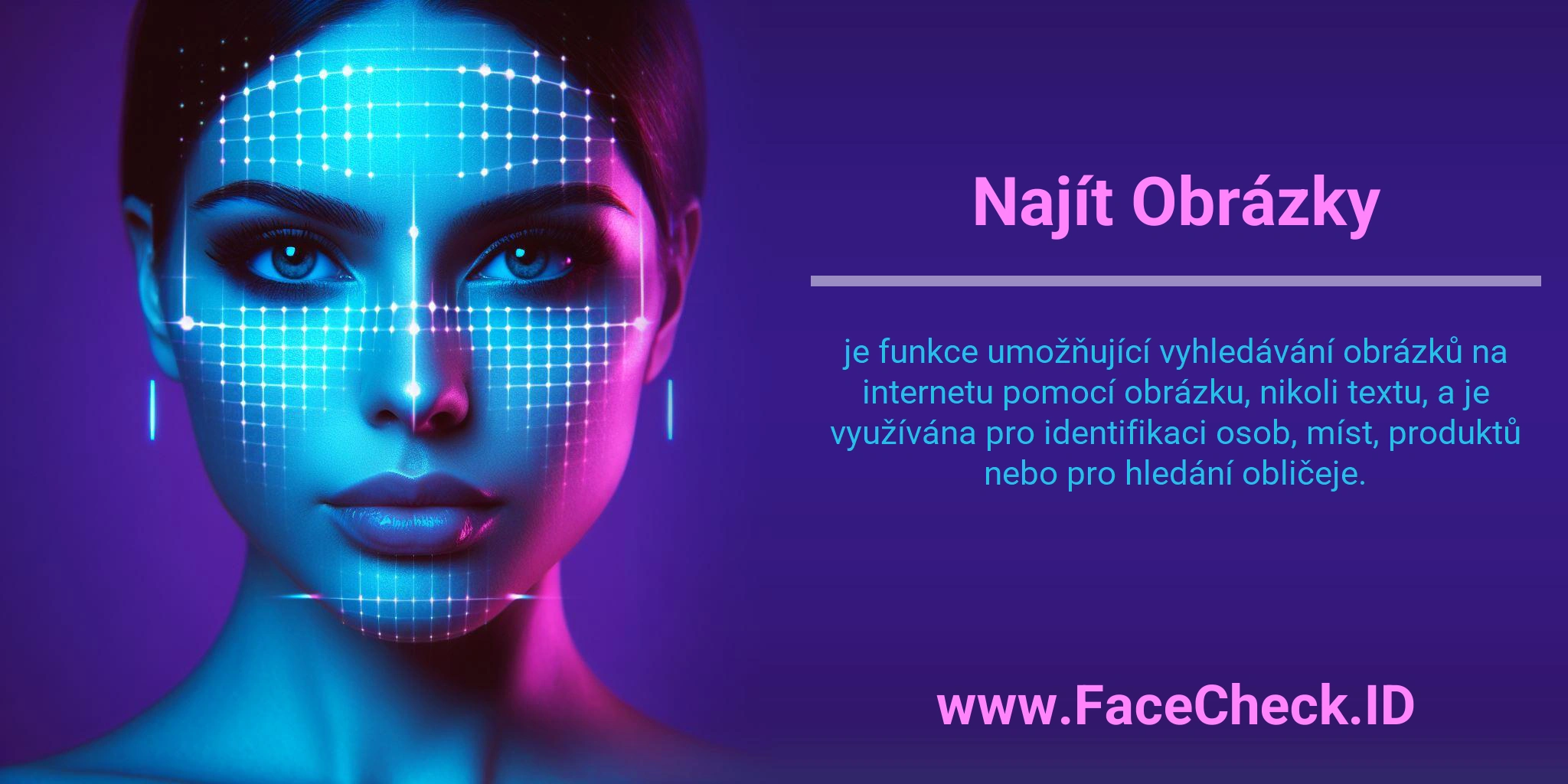 Najít Obrázky je funkce umožňující vyhledávání obrázků na internetu pomocí obrázku, nikoli textu, a je využívána pro identifikaci osob, míst, produktů nebo pro hledání obličeje.