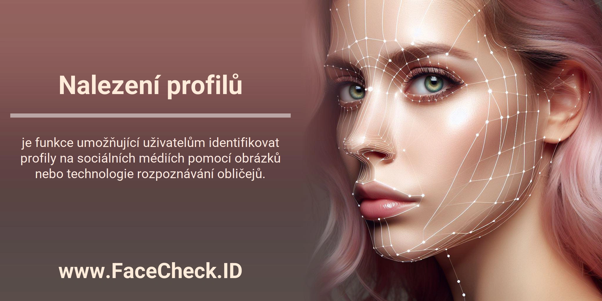 Nalezení profilů je funkce umožňující uživatelům identifikovat profily na sociálních médiích pomocí obrázků nebo technologie rozpoznávání obličejů.