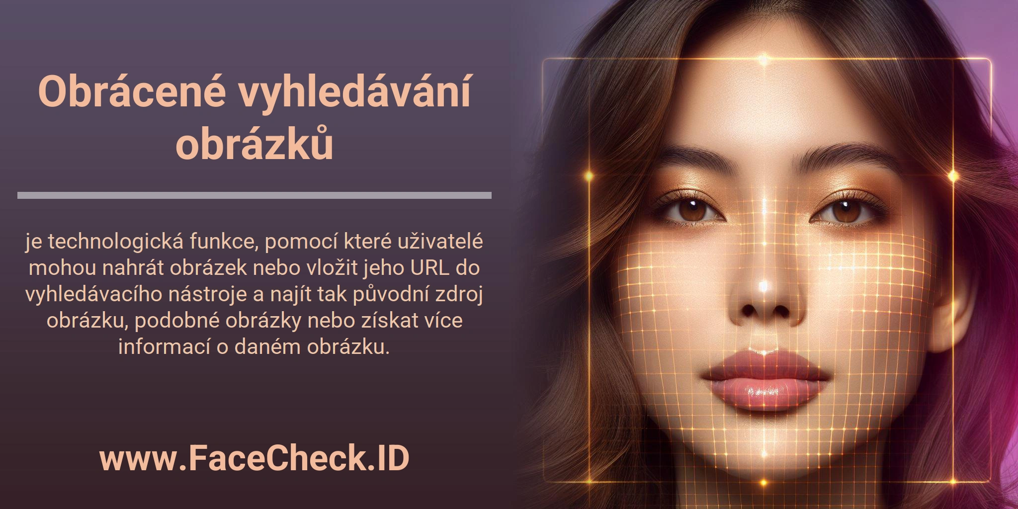 Obrácené vyhledávání obrázků je technologická funkce, pomocí které uživatelé mohou nahrát obrázek nebo vložit jeho URL do vyhledávacího nástroje a najít tak původní zdroj obrázku, podobné obrázky nebo získat více informací o daném obrázku.