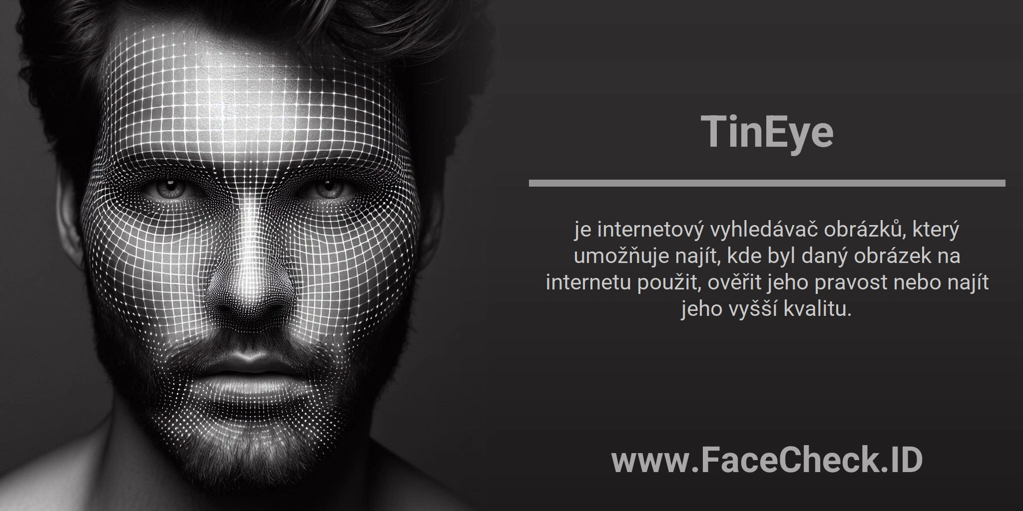 TinEye je internetový vyhledávač obrázků, který umožňuje najít, kde byl daný obrázek na internetu použit, ověřit jeho pravost nebo najít jeho vyšší kvalitu.