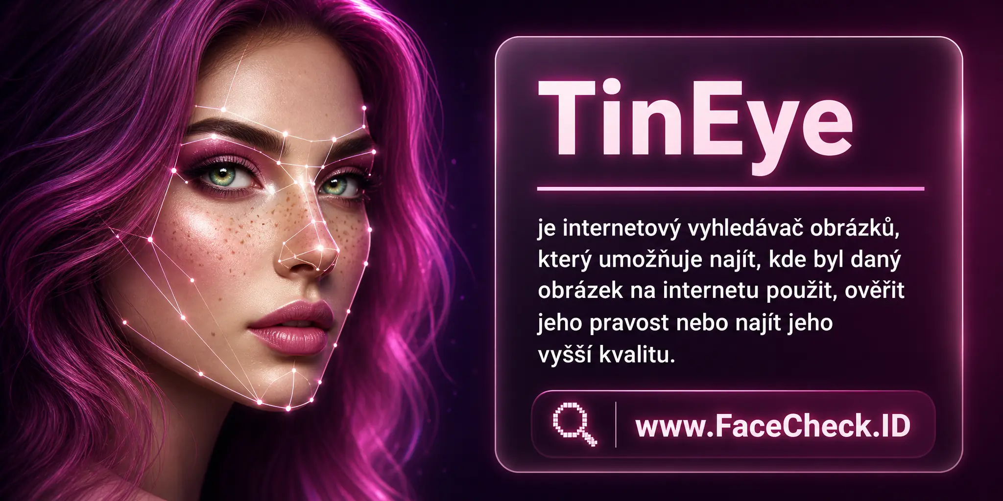 TinEye je internetový vyhledávač obrázků, který umožňuje najít, kde byl daný obrázek na internetu použit, ověřit jeho pravost nebo najít jeho vyšší kvalitu.