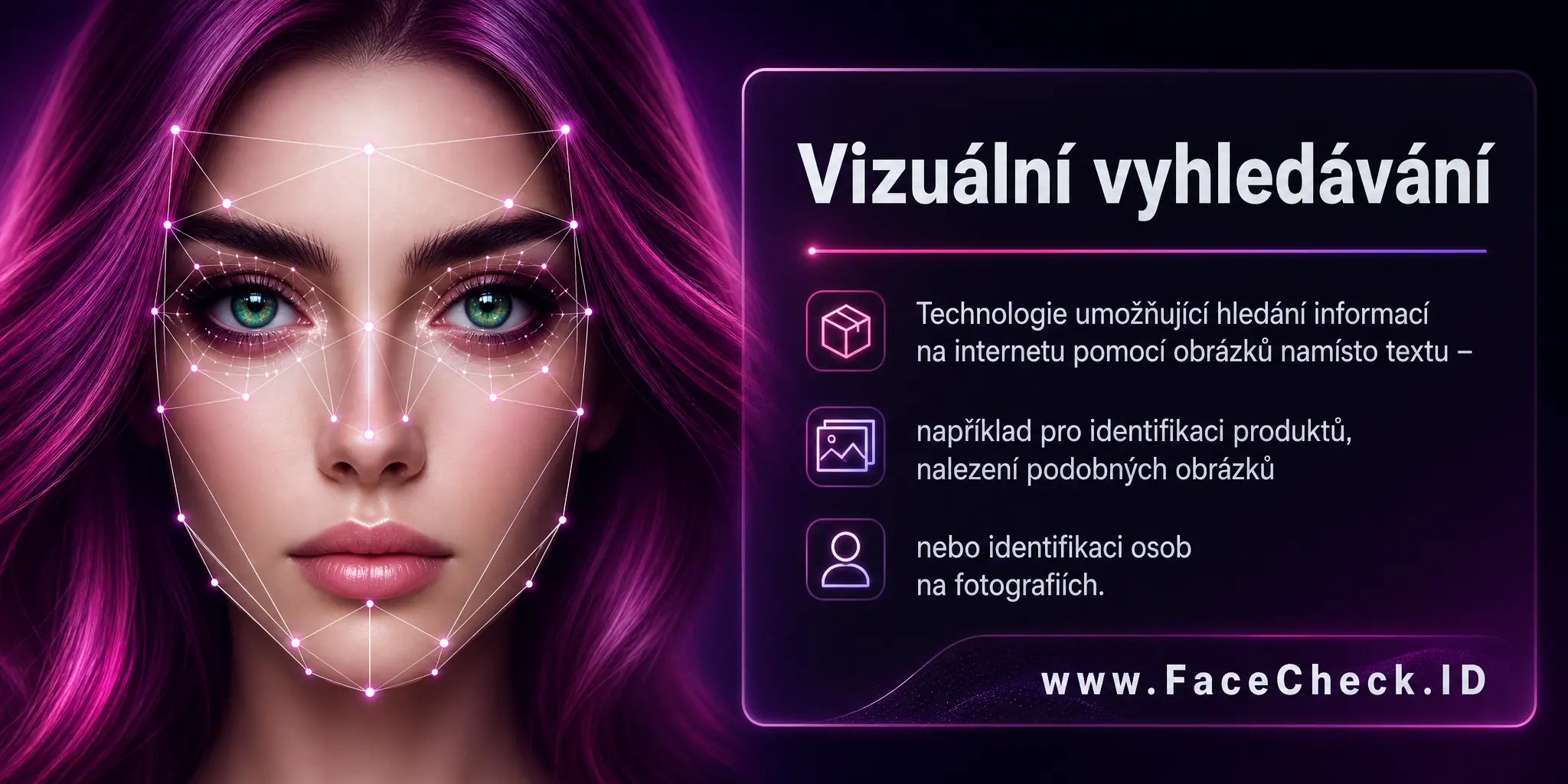 Vizuální vyhledávání je technologie umožňující hledání informací na internetu pomocí obrázků namísto textu, například pro identifikaci produktů, nalezení podobných obrázků nebo identifikaci osob na fotografiích.