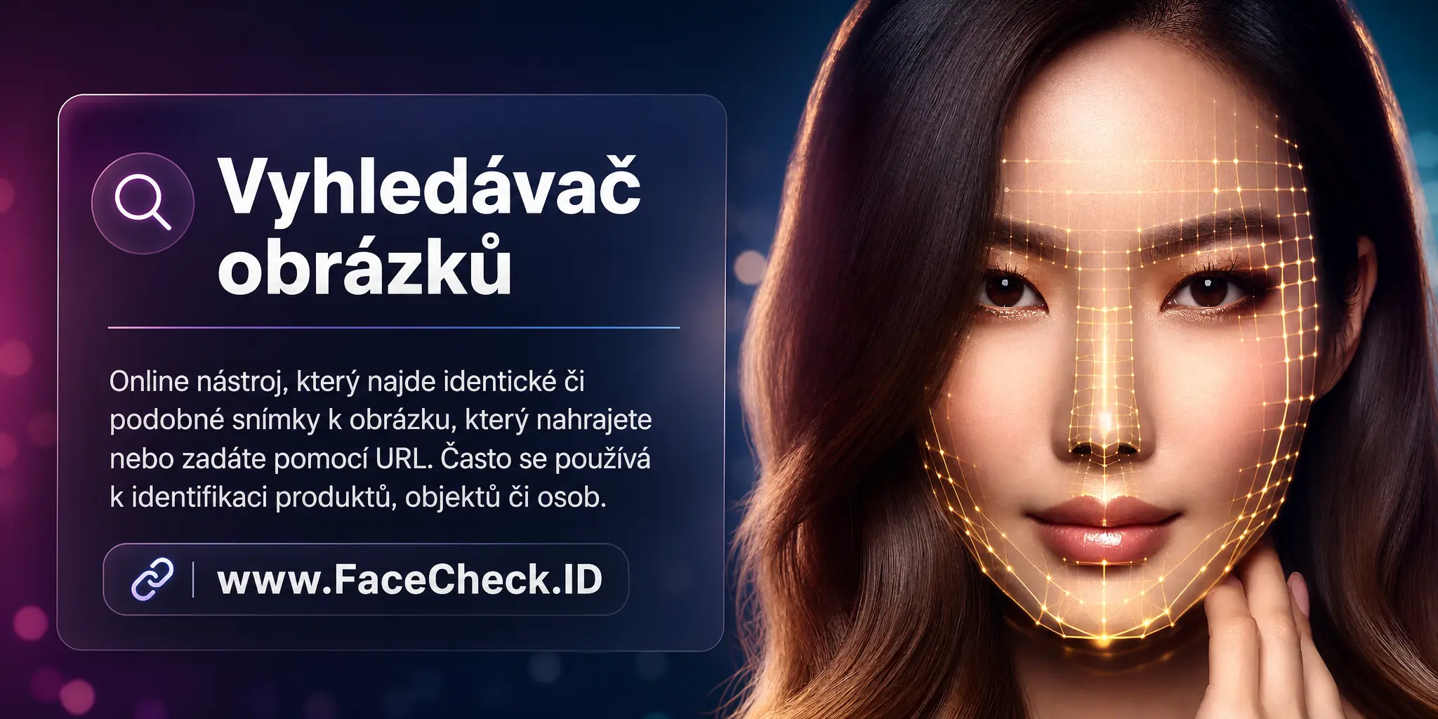 Vyhledávač obrázků je nástroj, který uživatelům umožňuje nalézt na internetu obrázky shodné nebo podobné obrázku, který do něj nahrají nebo jehož URL vloží, a často se využívá k identifikaci neznámých produktů, objektů nebo osob.