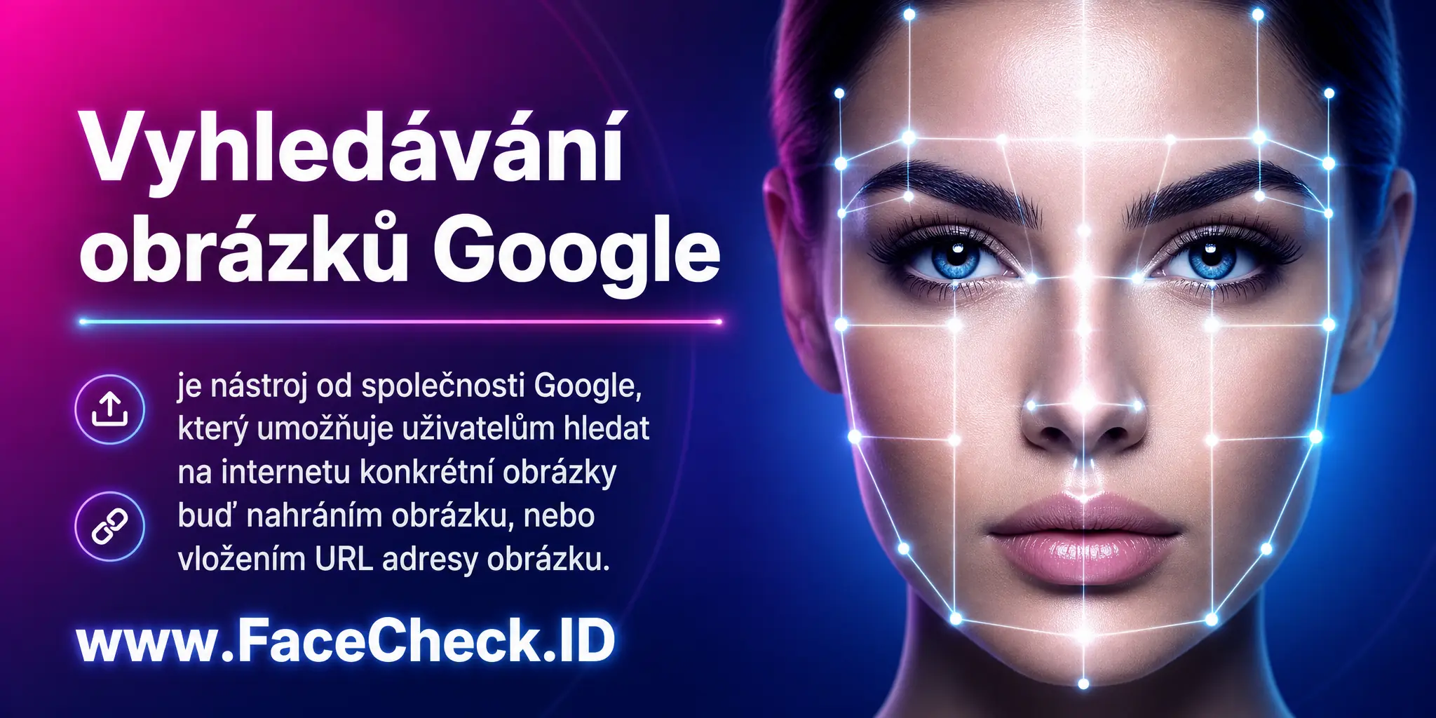 Vyhledávání Obrázků Google je nástroj od firmy Google, který umožňuje uživatelům hledat na internetu konkrétní obrázky buďto nahráním obrázku nebo vložením URL adresy obrázku.
