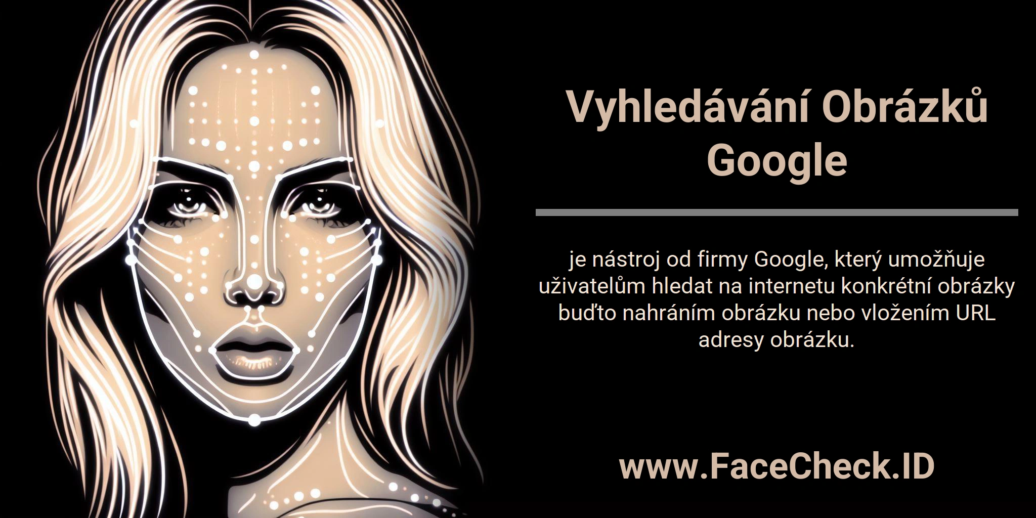 Vyhledávání Obrázků Google je nástroj od firmy Google, který umožňuje uživatelům hledat na internetu konkrétní obrázky buďto nahráním obrázku nebo vložením URL adresy obrázku.