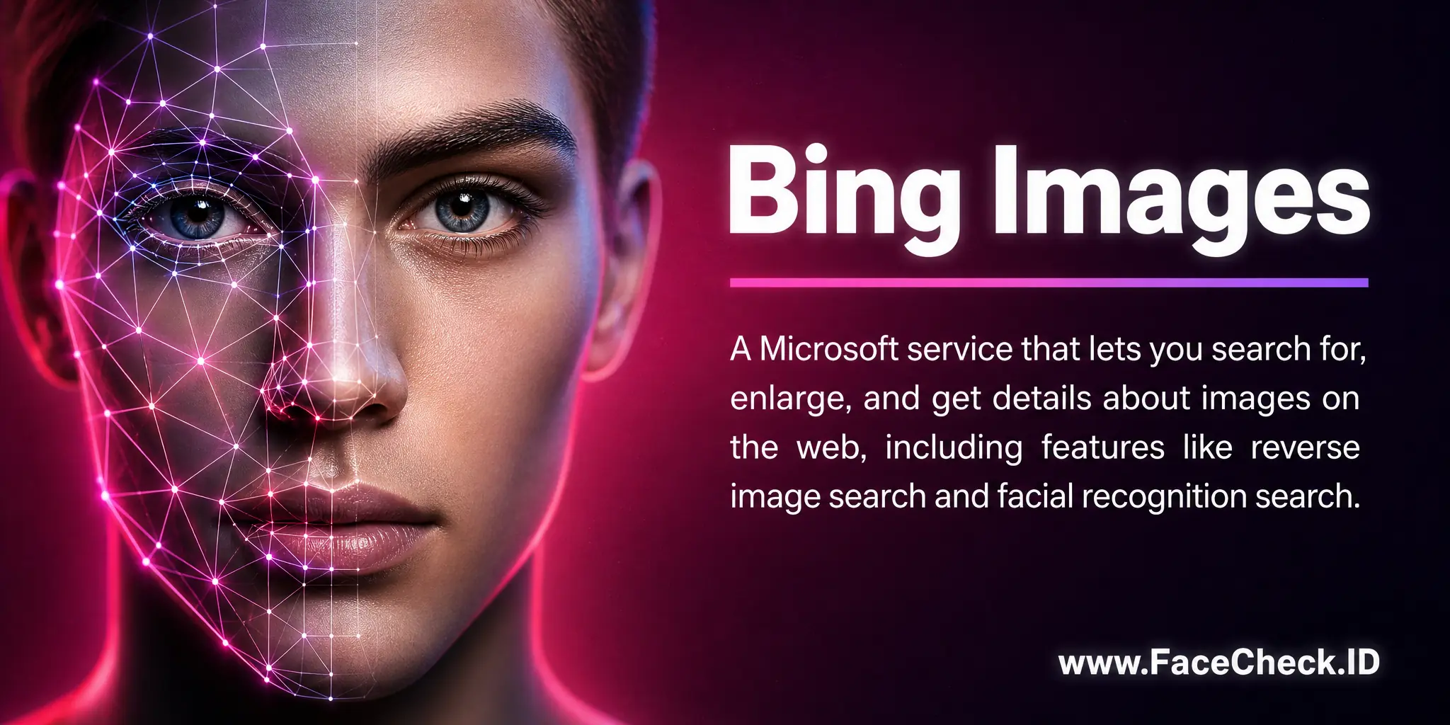 Bing Images is a Microsoft service that allows users to search for, enlarge, and get details about images on the web, including features like reverse image search and facial recognition search.