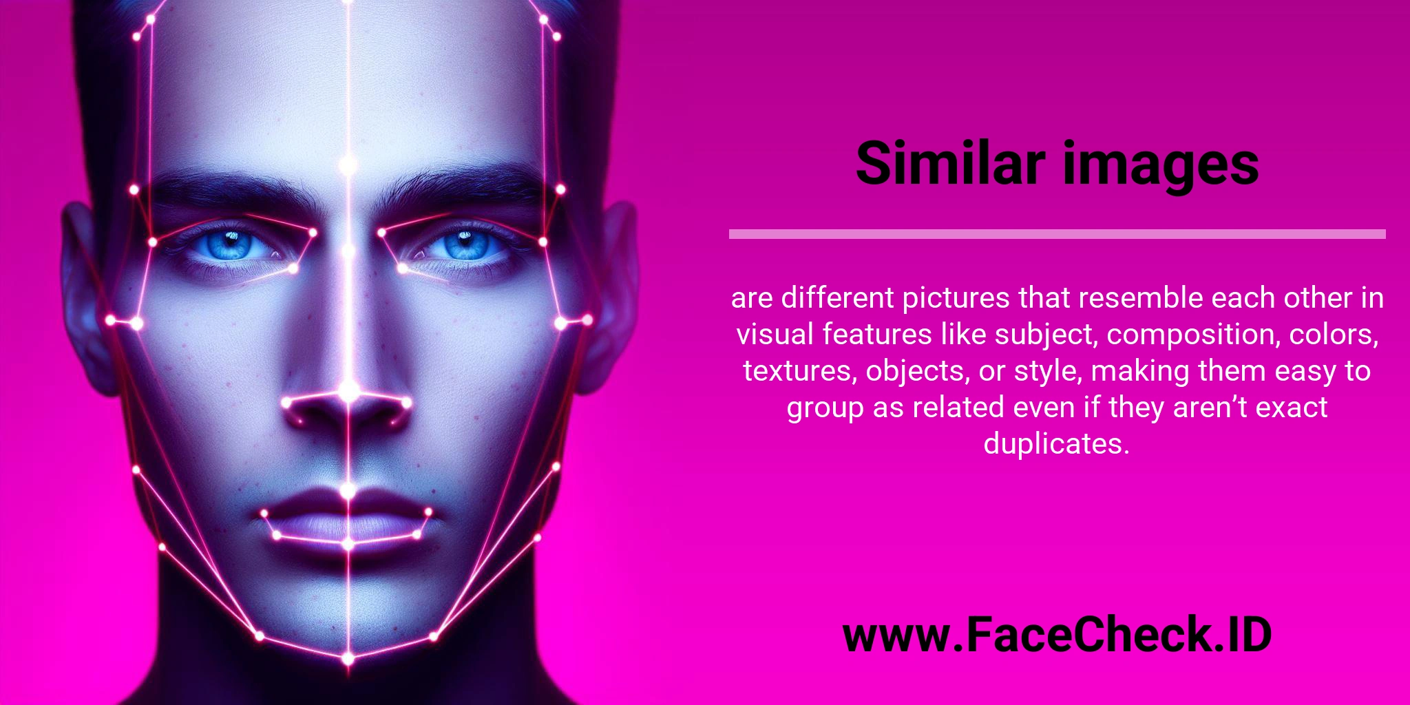 Similar images are different pictures that resemble each other in visual features like subject, composition, colors, textures, objects, or style, making them easy to group as related even if they aren’t exact duplicates.