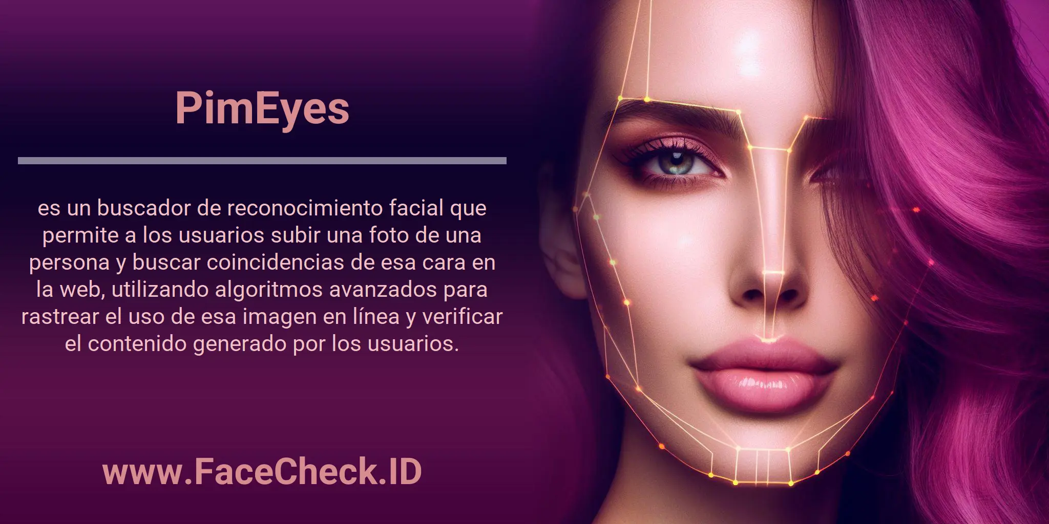 PimEyes es un buscador de reconocimiento facial que permite a los usuarios subir una foto de una persona y buscar coincidencias de esa cara en la web, utilizando algoritmos avanzados para rastrear el uso de esa imagen en línea y verificar el contenido generado por los usuarios.