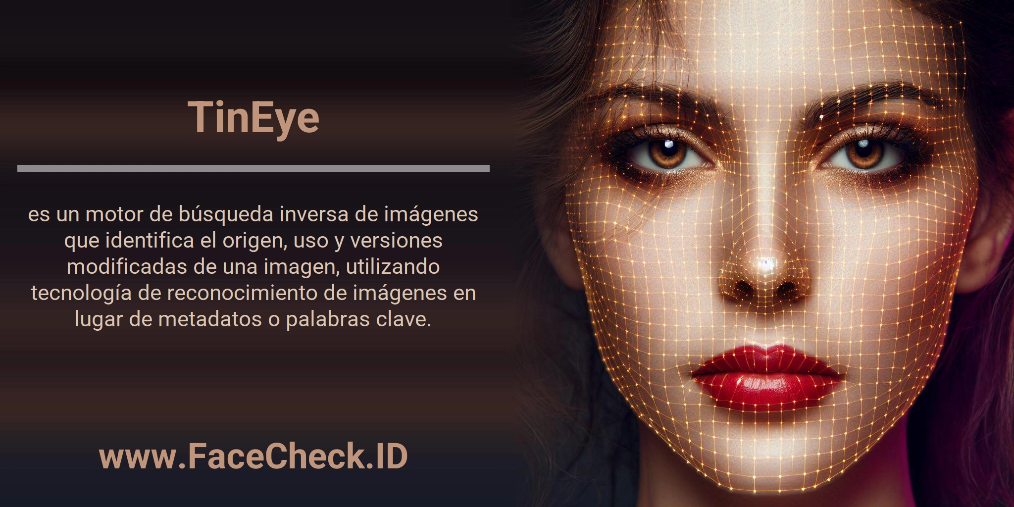 TinEye es un motor de búsqueda inversa de imágenes que identifica el origen, uso y versiones modificadas de una imagen, utilizando tecnología de reconocimiento de imágenes en lugar de metadatos o palabras clave.