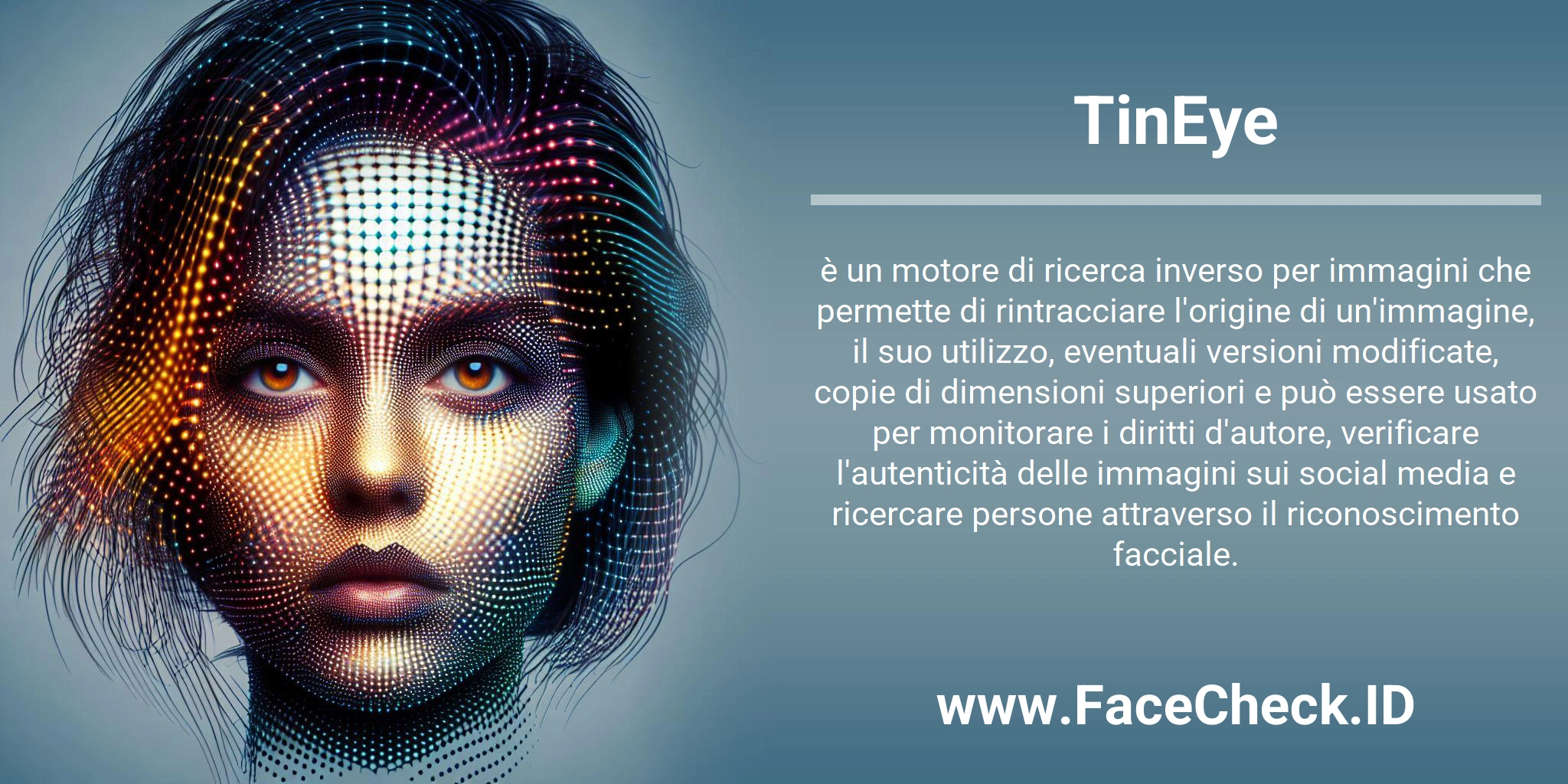 TinEye è un motore di ricerca inverso per immagini che permette di rintracciare l'origine di un'immagine, il suo utilizzo, eventuali versioni modificate, copie di dimensioni superiori e può essere usato per monitorare i diritti d'autore, verificare l'autenticità delle immagini sui social media e ricercare persone attraverso il riconoscimento facciale.
