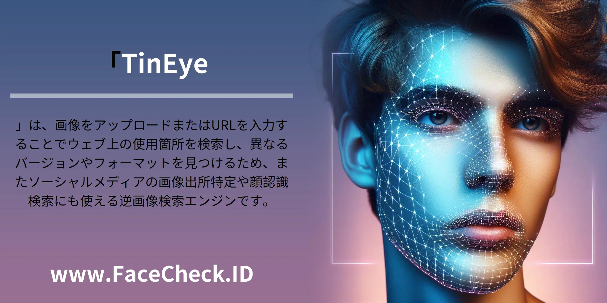 「TinEye」は、画像をアップロードまたはURLを入力することでウェブ上の使用箇所を検索し、異なるバージョンやフォーマットを見つけるため、またソーシャルメディアの画像出所特定や顔認識検索にも使える逆画像検索エンジンです。