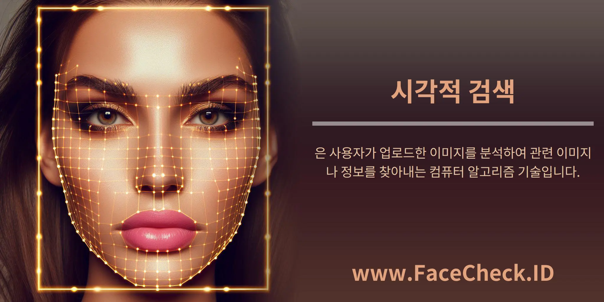 시각적 검색은 사용자가 업로드한 이미지를 분석하여 관련 이미지나 정보를 찾아내는 컴퓨터 알고리즘 기술입니다.