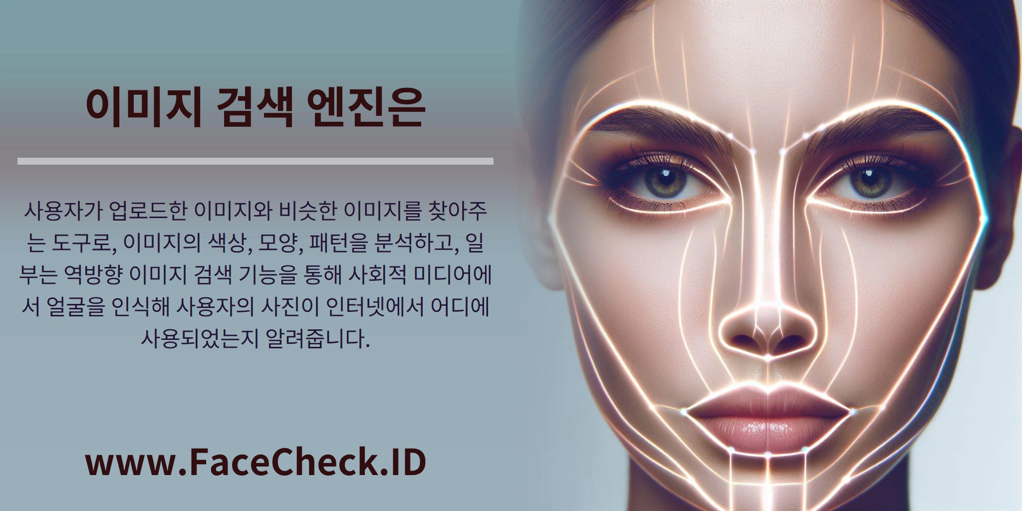 이미지 검색 엔진은 사용자가 업로드한 이미지와 비슷한 이미지를 찾아주는 도구로, 이미지의 색상, 모양, 패턴을 분석하고, 일부는 역방향 이미지 검색 기능을 통해 사회적 미디어에서 얼굴을 인식해 사용자의 사진이 인터넷에서 어디에 사용되었는지 알려줍니다.