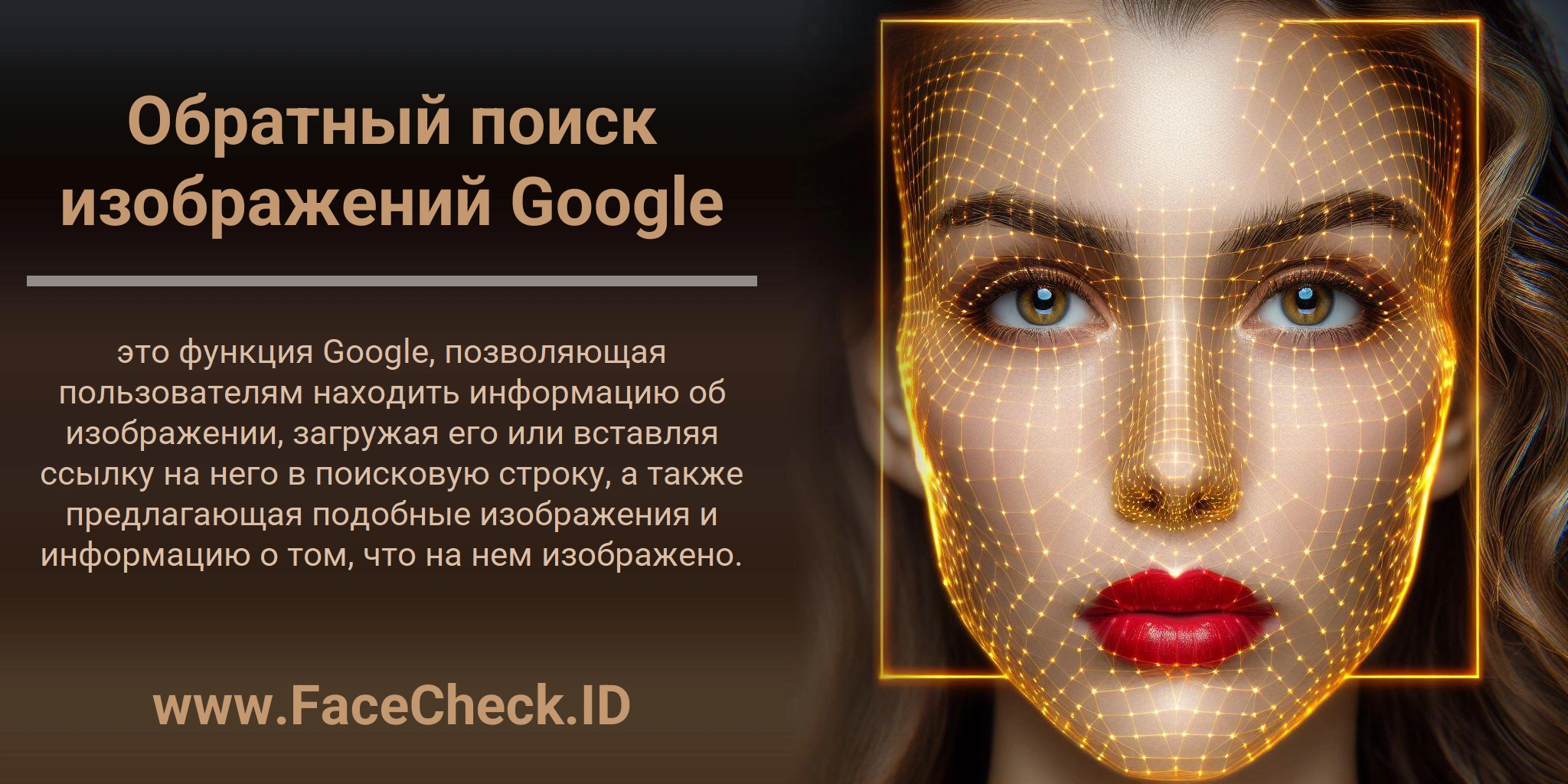 Обратный поиск изображений Google это функция Google, позволяющая пользователям находить информацию об изображении, загружая его или вставляя ссылку на него в поисковую строку, а также предлагающая подобные изображения и информацию о том, что на нем изображено.