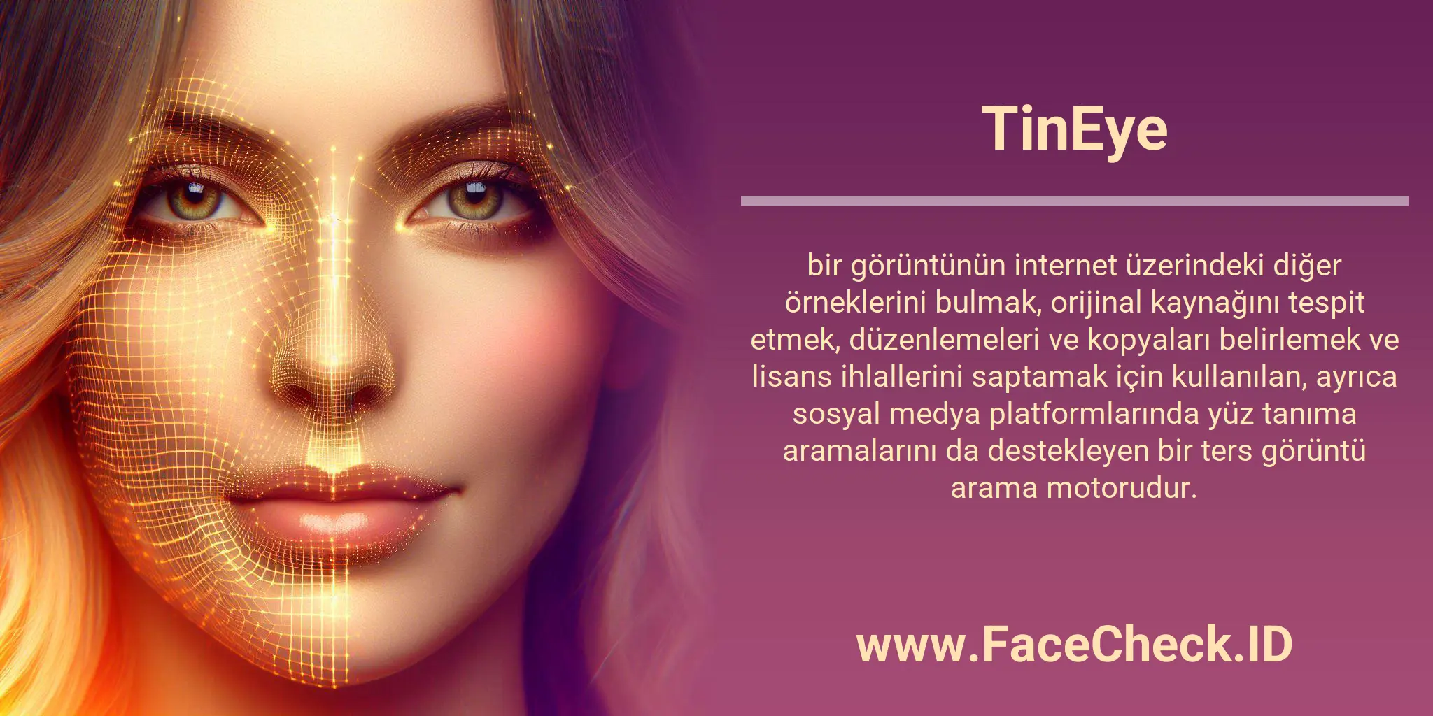 TinEye bir görüntünün internet üzerindeki diğer örneklerini bulmak, orijinal kaynağını tespit etmek, düzenlemeleri ve kopyaları belirlemek ve lisans ihlallerini saptamak için kullanılan, ayrıca sosyal medya platformlarında yüz tanıma aramalarını da destekleyen bir ters görüntü arama motorudur.