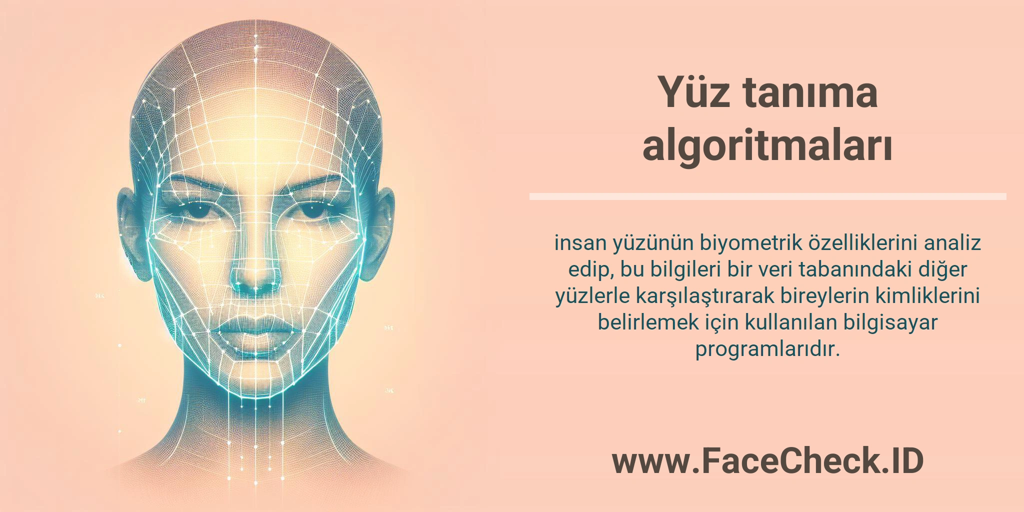 Yüz tanıma algoritmaları insan yüzünün biyometrik özelliklerini analiz edip, bu bilgileri bir veri tabanındaki diğer yüzlerle karşılaştırarak bireylerin kimliklerini belirlemek için kullanılan bilgisayar programlarıdır.