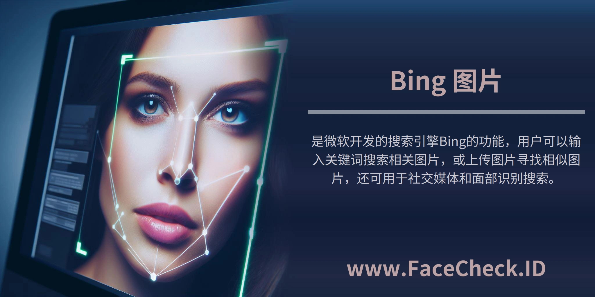 <b>Bing 图片</b>是微软开发的搜索引擎Bing的功能，用户可以输入关键词搜索相关图片，或上传图片寻找相似图片，还可用于社交媒体和面部识别搜索。