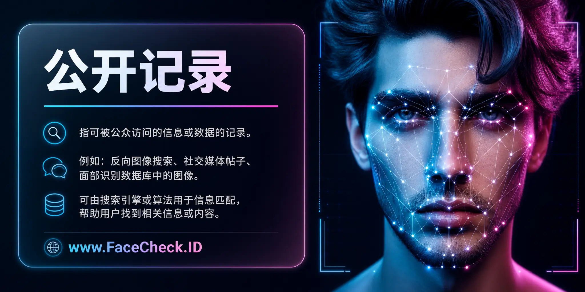 公开记录是指可以被大众访问的信息或数据的记录，如反向图像搜索、社交媒体帖子和面部识别数据库中的图像，可由搜索引擎或算法用于信息匹配，帮助用户找到相关信息或内容。