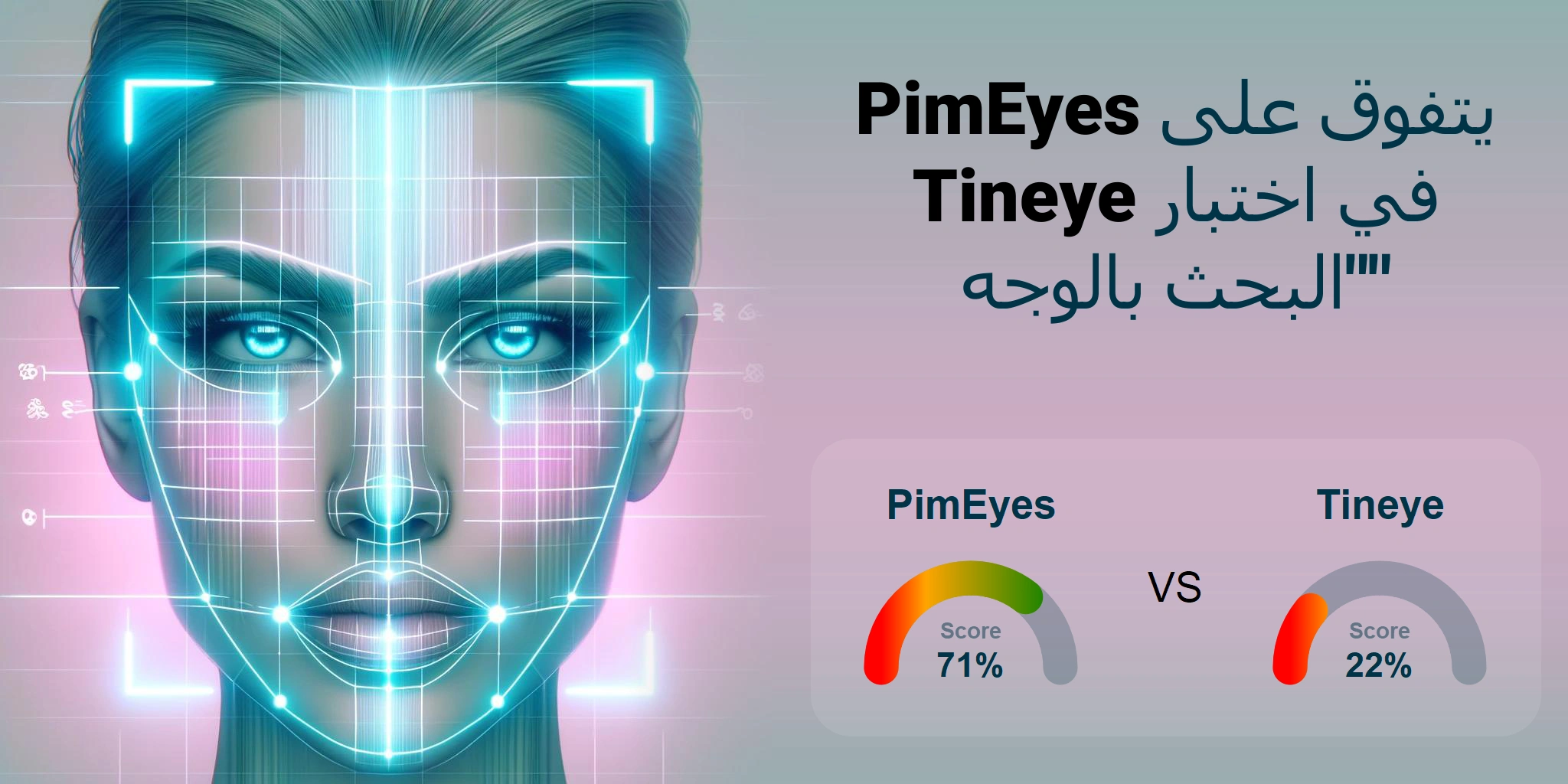 ما هو الأفضل للبحث بالوجه: <br>PimEyes أو Tineye؟