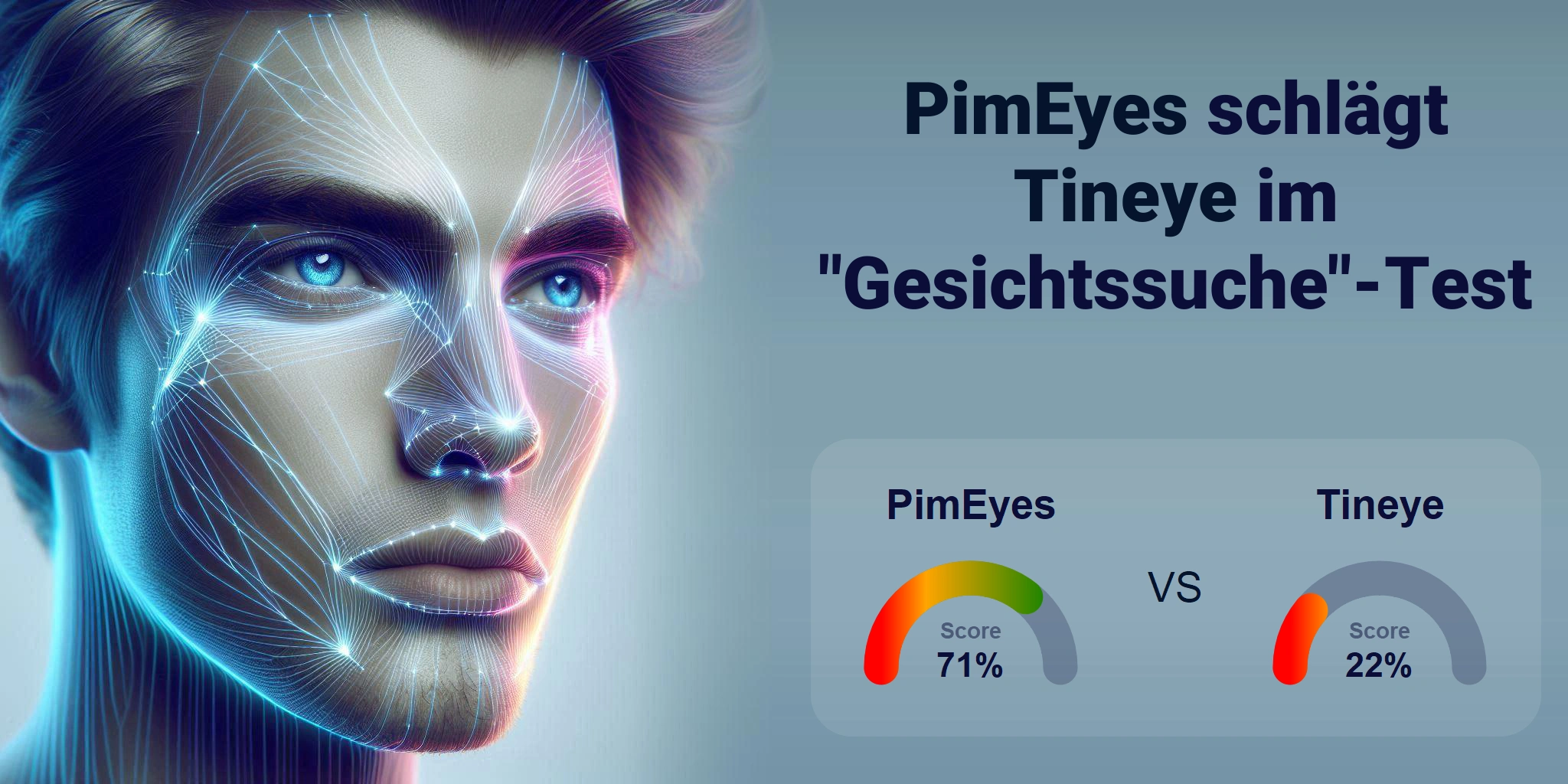 Welcher ist besser für die Gesichtssuche: <br>PimEyes oder Tineye?