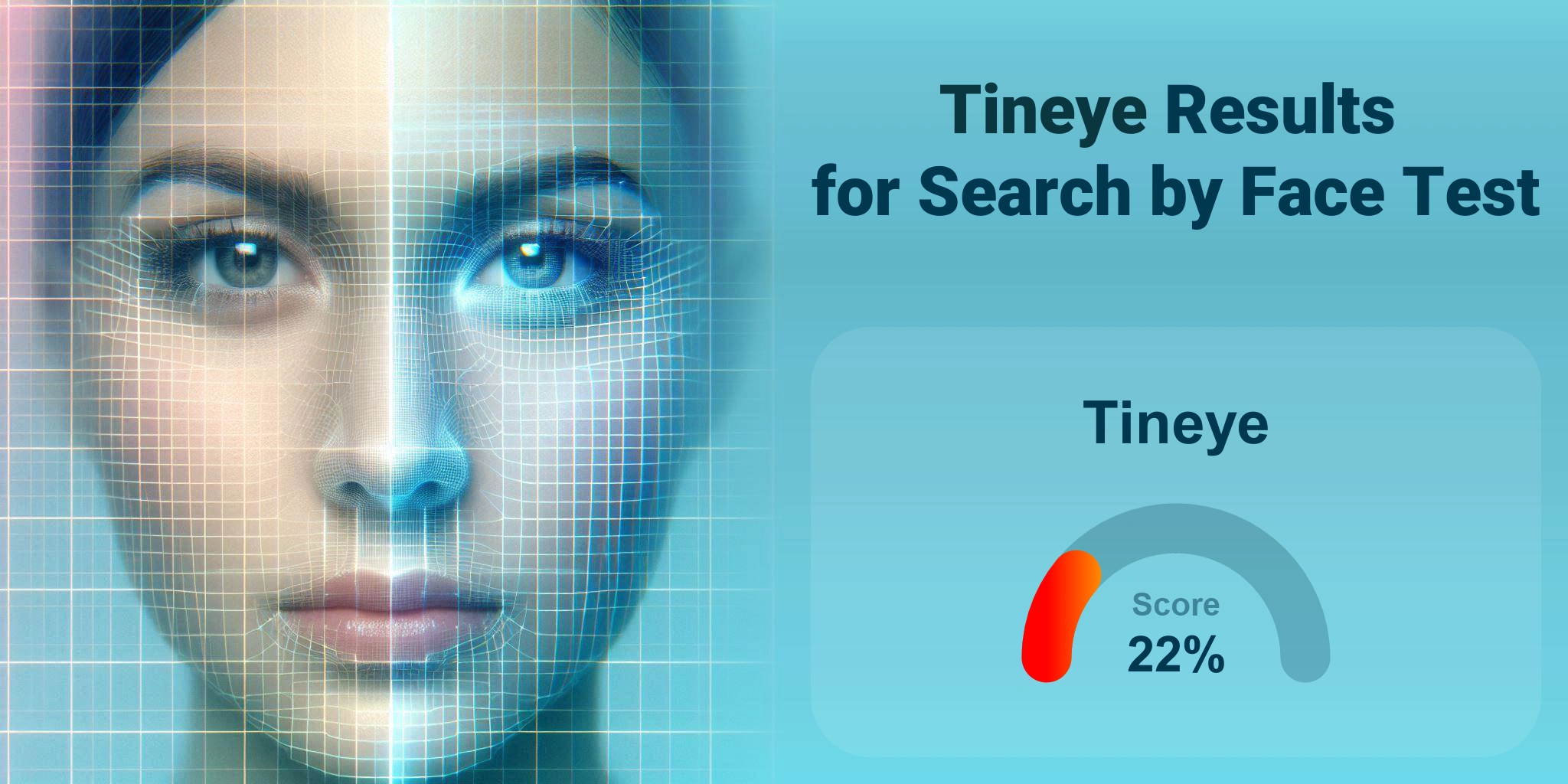 Tineye.com