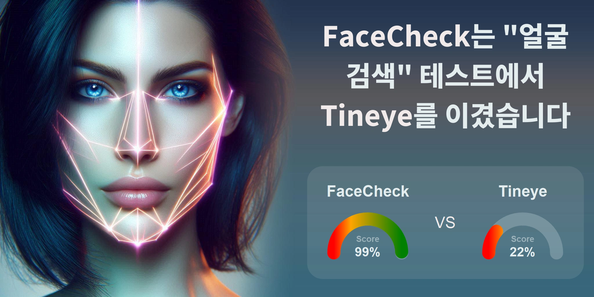 얼굴 검색에 더 좋은 것은 무엇입니까: <br>FaceCheck 또는 Tineye?
