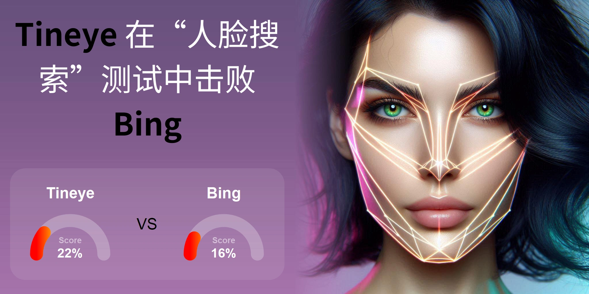 哪一个更适合人脸搜索：<br>Tineye 还是 Bing？