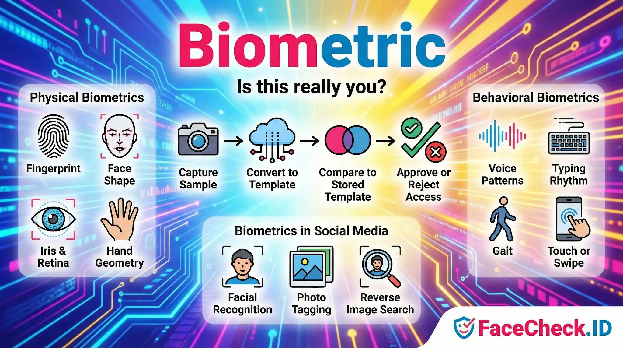 Biometric verification infographic showing physical traits like fingerprints and behavioral traits like voice patterns, explaining the process from sample capture to access approval.