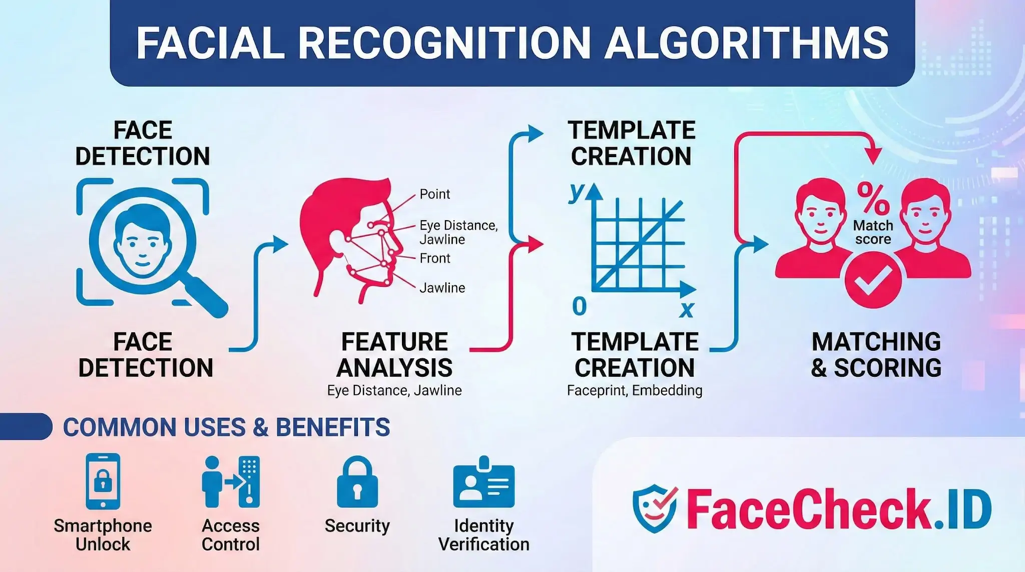 Diagram explaining facial recognition algorithms in four stages: face detection, feature analysis, template creation, and matching and scoring.