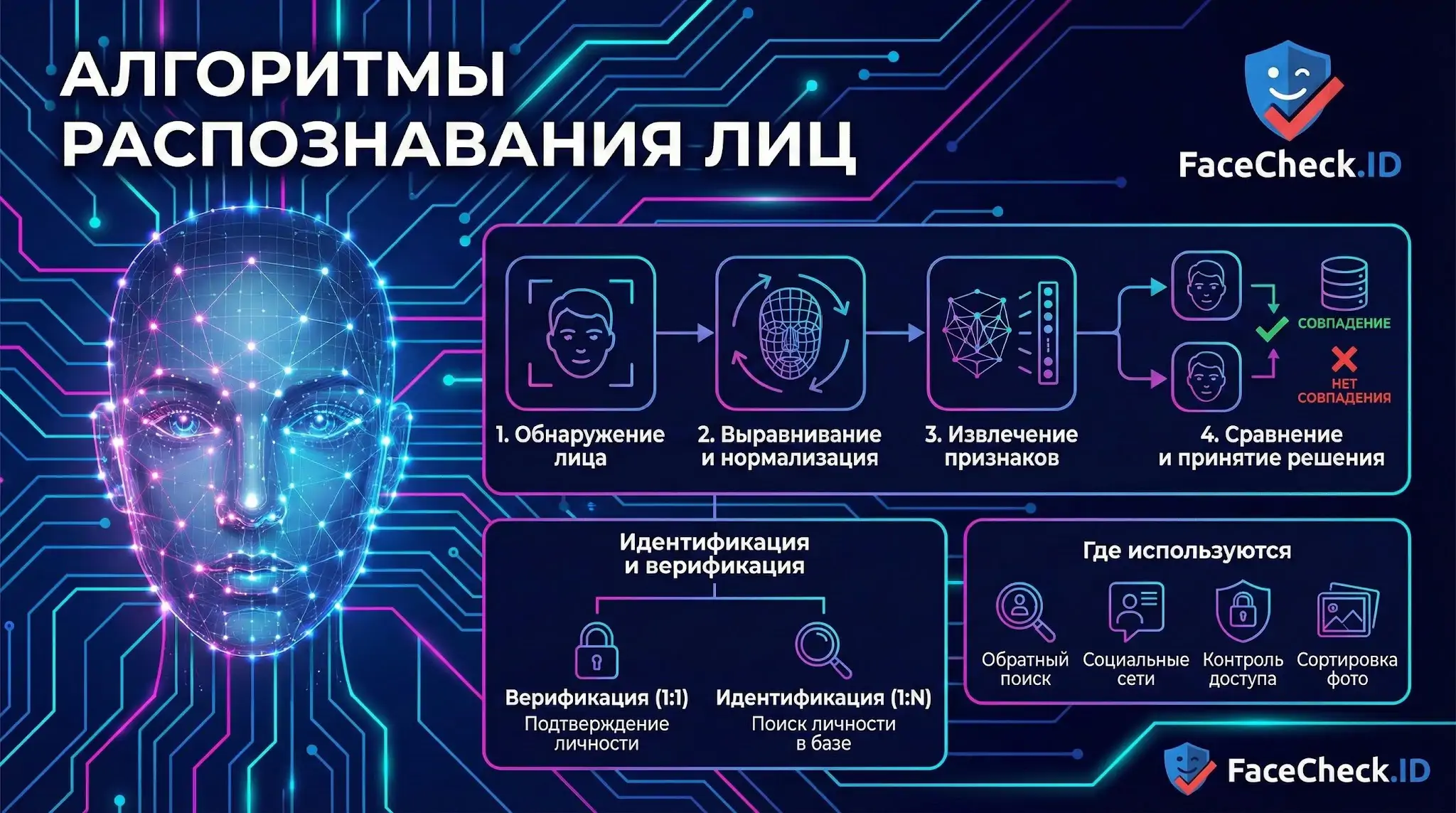 Алгоритмы распознавания лиц: инфографика четырех этапов от обнаружения до сравнения и сферы применения технологии.