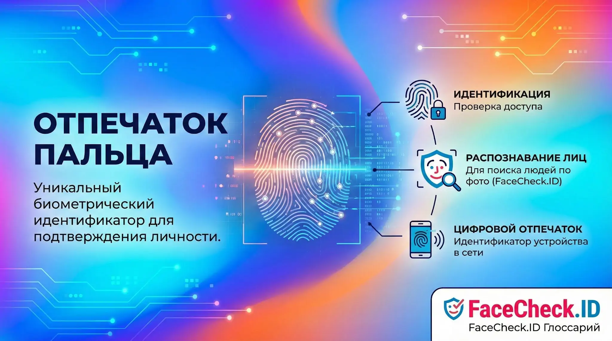 Отпечаток пальца: уникальный биометрический идентификатор для подтверждения личности. Инфографика о видах идентификации FaceCheck.ID.