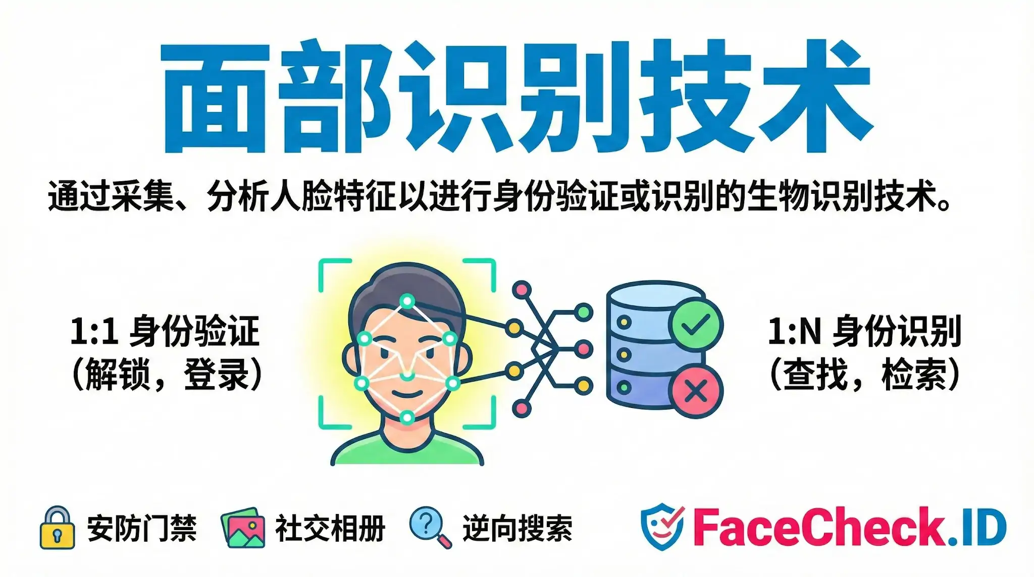 面部识别技术 信息图介绍面部识别技术原理:展示人脸特征扫描与数据库比对过程,解释1:1身份验证(解锁、登录)与1:N身份识别(查找、检索)的区别,并列举安防门禁、社交相册和逆向搜索等应用场景。
