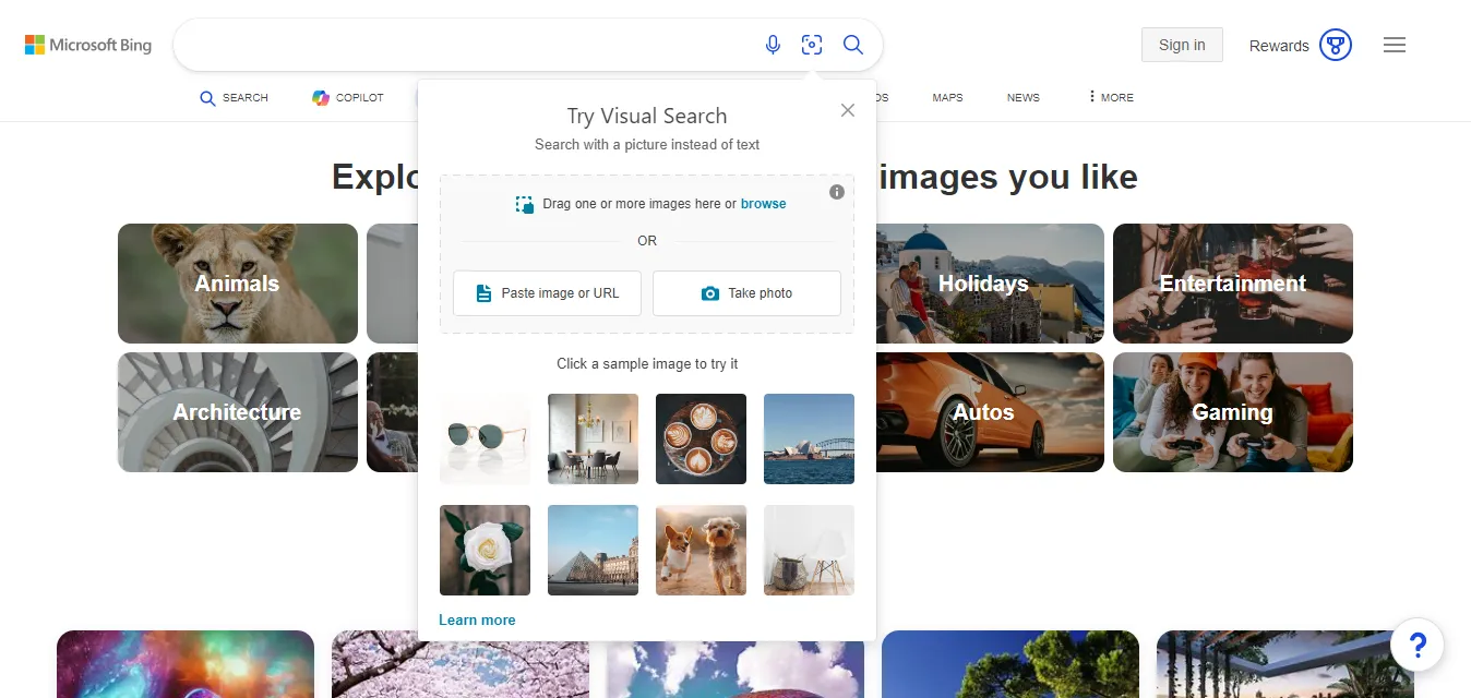 Subiendo una imagen para buscar en Bing Imágenes