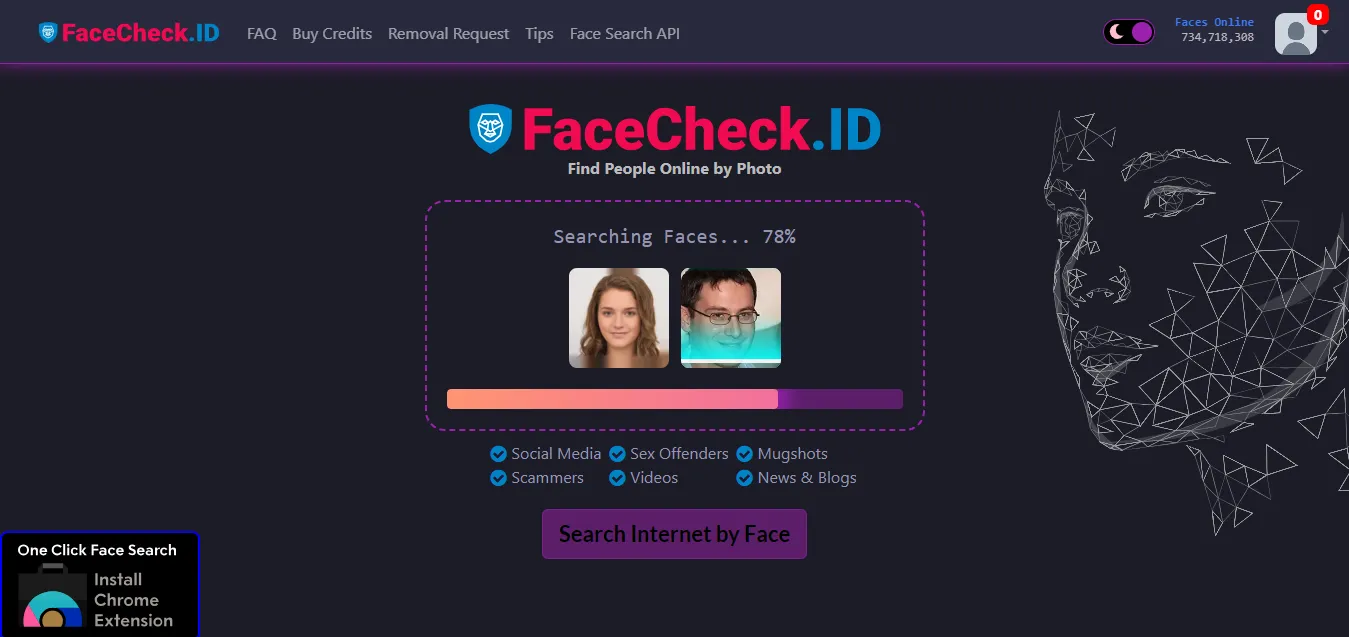 Display of facial recognition search results