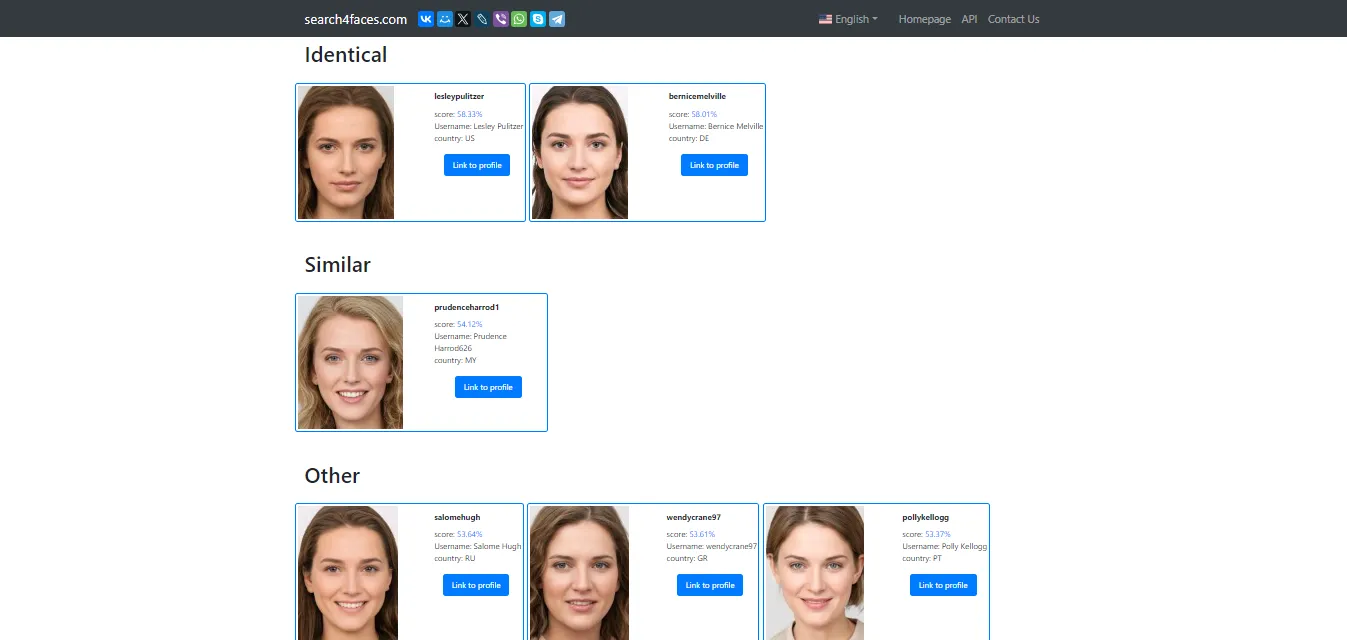 Facial recognition search results on Search4faces
